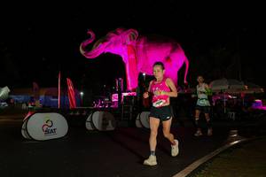 BIB: 
                            <button type="button" onclick="openModal(26543137)" class="btn btn-primary btn-sm float-right btn-popup" data-toggle="modal" data-target=".modal-high-quality">
                        <i class="fas fa-shopping-cart"></i> Add to Cart
                    </button>
                                            <button type="button" onclick="isThisMe(26543137, true)" class="btn btn-success btn-sm float-right btn-popup btn-isme hidden" data-toggle="tooltip" data-placement="bottom" title="นี่คือรูปของคุณใช่ไหม คลิกที่นี่เพื่อเอาเข้าอัลบั้ม">
                        <i class="fas fa-plus"></i> Add to album
                    </button>
                    <button type="button" onclick="isThisMe(26543137, false)" class="btn btn-warning btn-sm float-right btn-popup btn-isnotme hidden">
                        <i class="fas fa-ban"></i> Remove from album
                    </button>